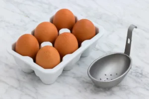 EGG